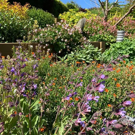 בית נופש A La Campagne & Jacuzzi